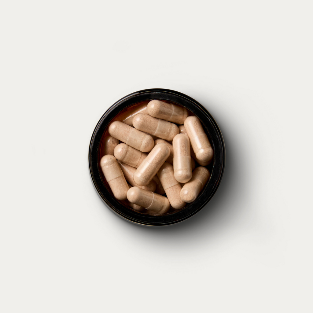 Cordyceps Mushrooms