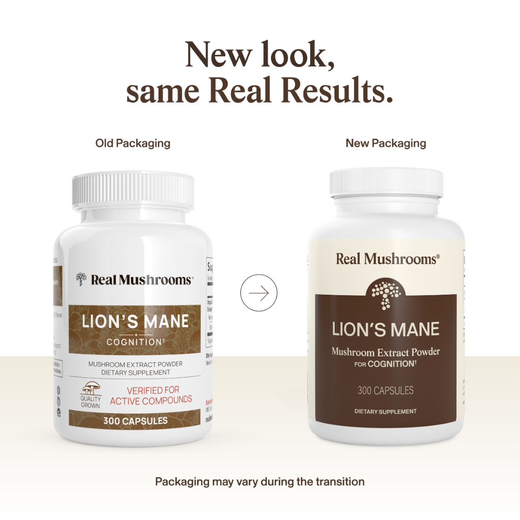 Lion's Mane Capsules