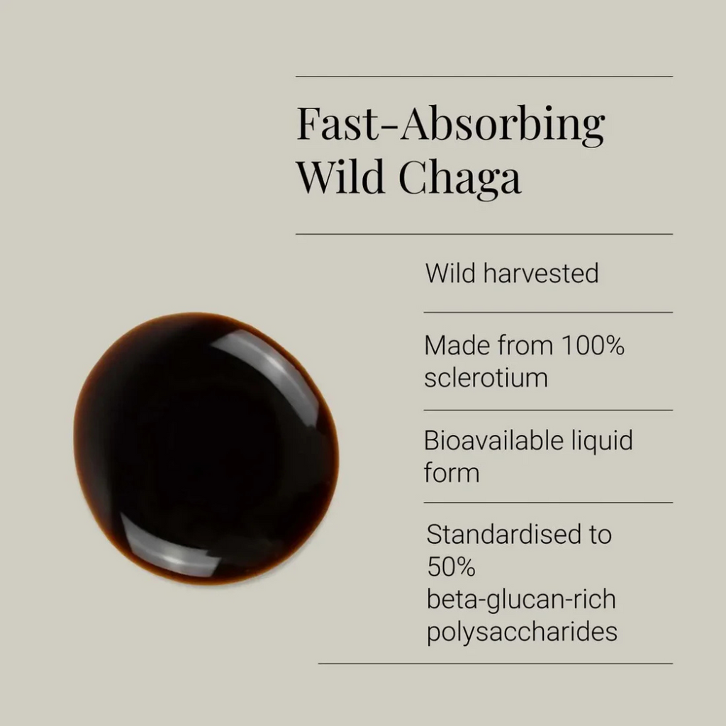 Chaga Extract Tincture, Organic