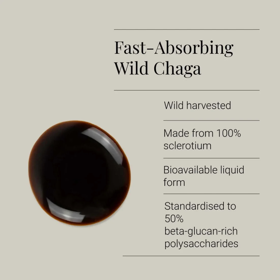 Chaga Extract Tincture, Organic