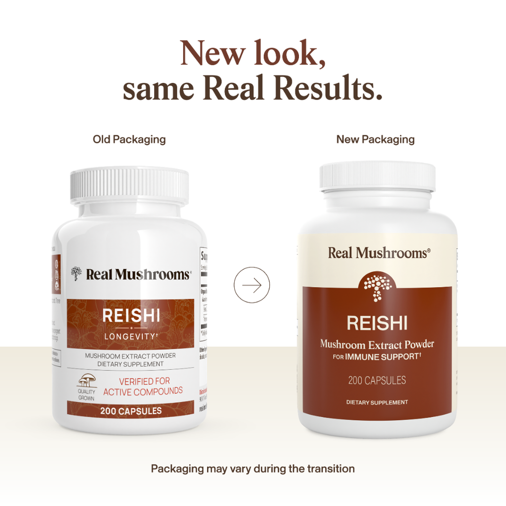 Reishi Capsules