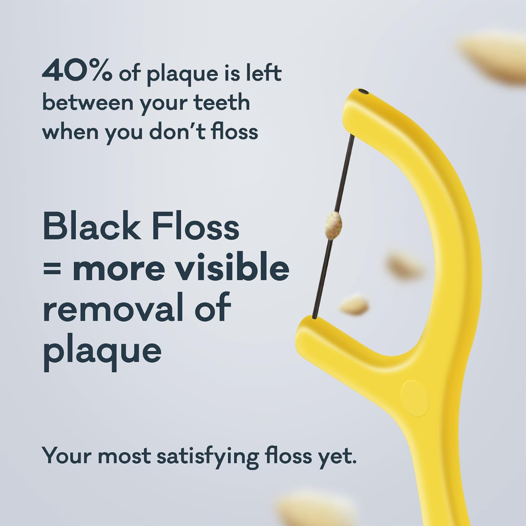 Ultra Clean Adults Floss Picks Canister