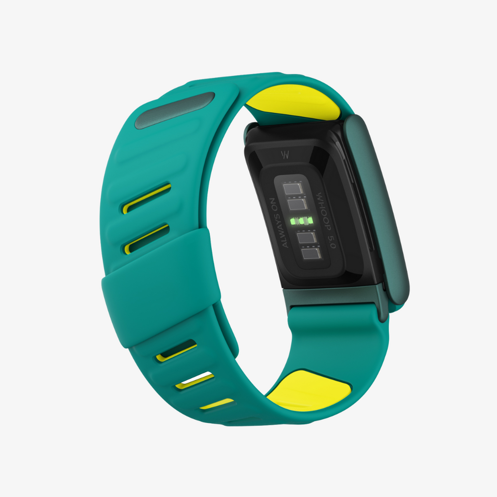 SportFlex 5.0 – Propel