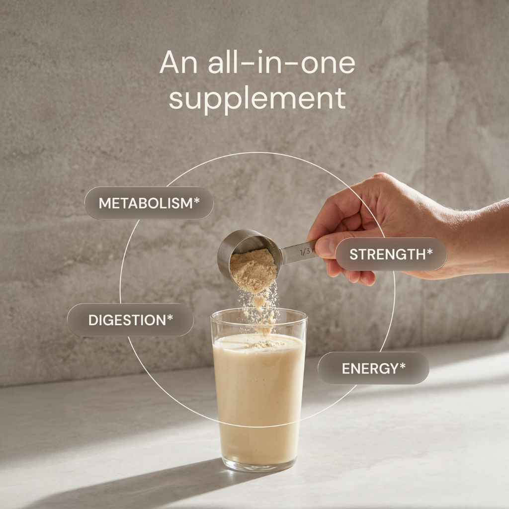 Metabolic Protein Powder - Chai