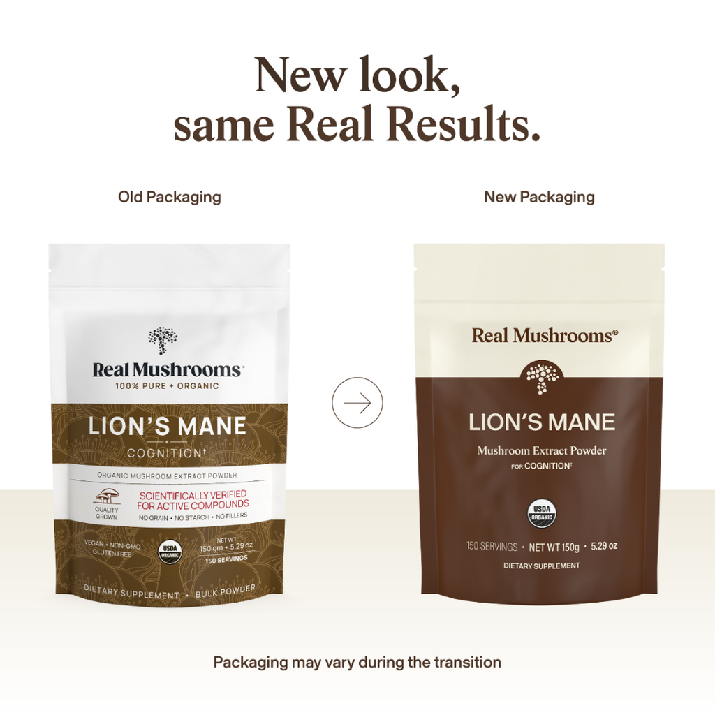 Lions Mane Powder