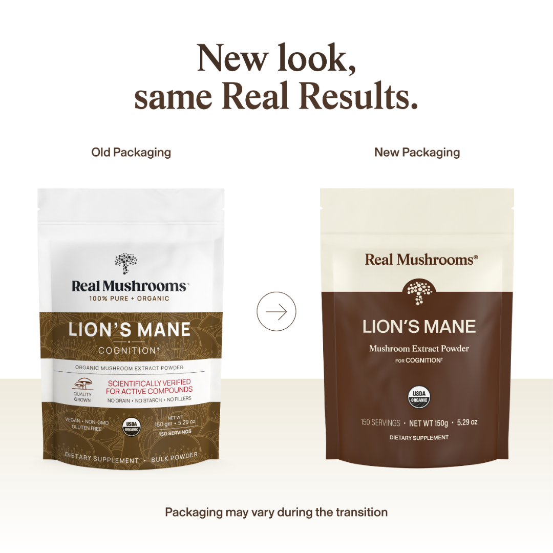 Lions Mane Powder