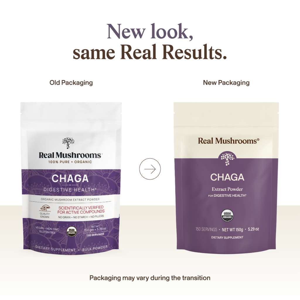 Chaga Powder