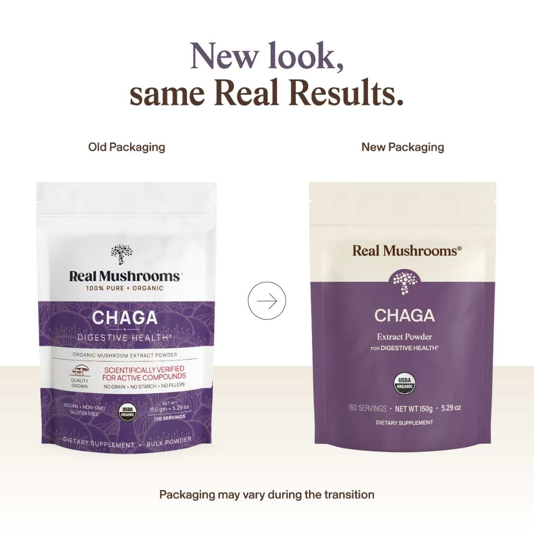 Chaga Powder